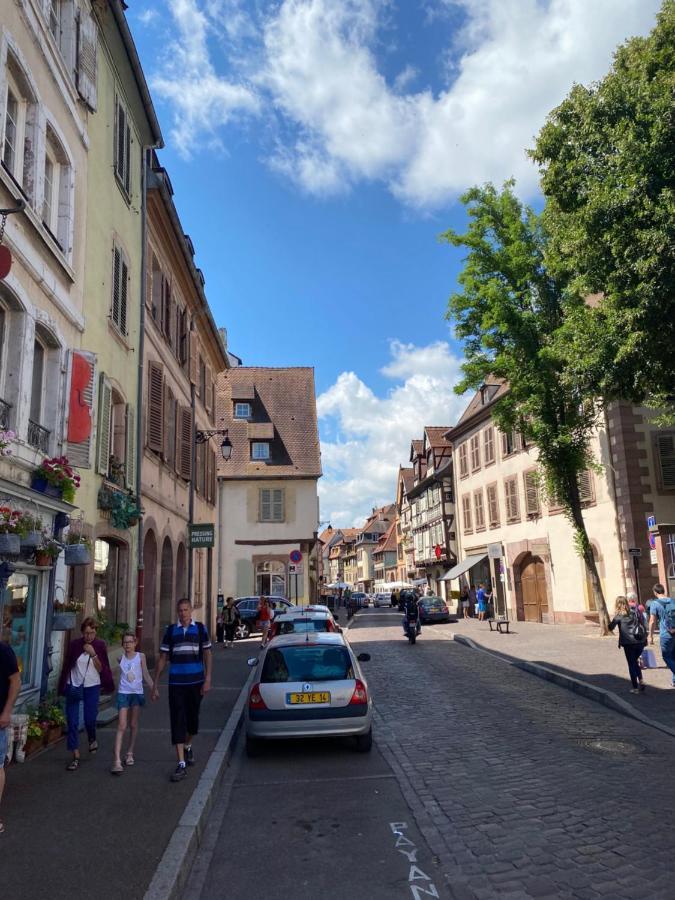 Hello Colmar Luxury Petite Venise 7 Pers Parking Velos Lejlighed Eksteriør billede